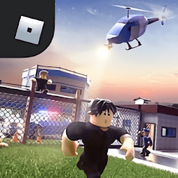 罗布乐思roblox无限钻石版