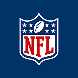 nfl电脑版